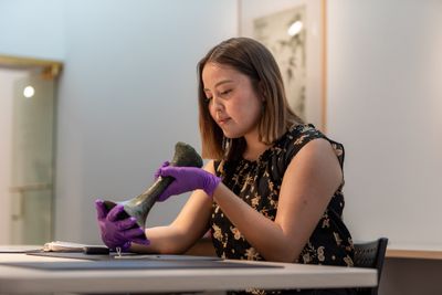 N A U student examines a piece of artwork as part of the museum studies program.